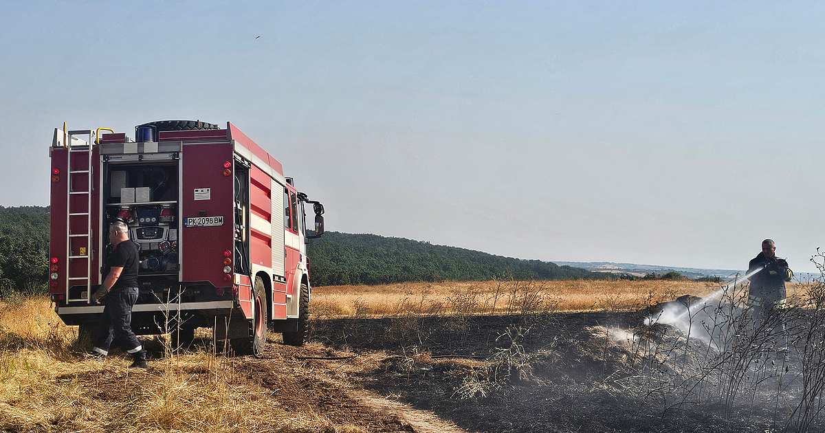 Всички тежки пожари в страната вече са овладени. След седмица