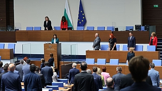 Велислава Делчева бе избрана за нов омбудсман Тя получи подкрепа