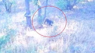 Кризисен щаб бе свикан от областния управител Илиян Великов след