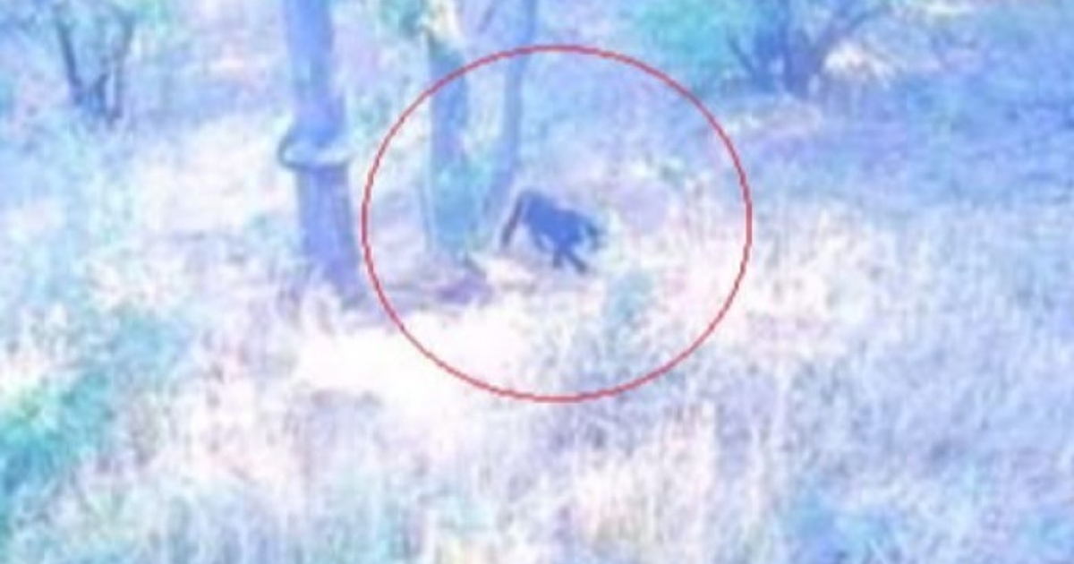 Кризисен щаб бе свикан от областния управител Илиян Великов след