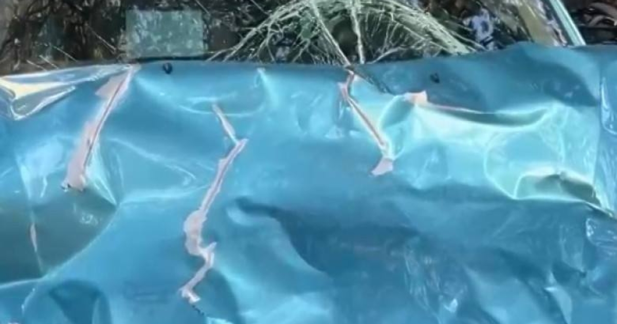 За нелеп, но и потенциолно много опасен инцидент с бивол край София,