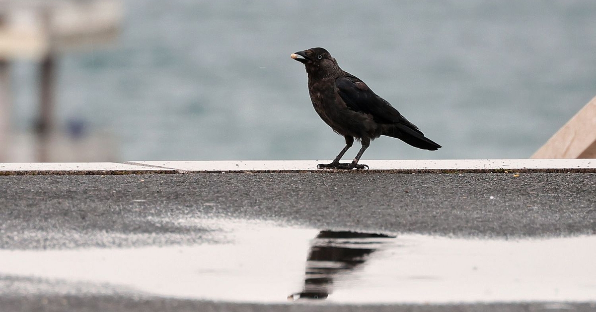 През следващото денонощие синоптичната обстановка в България ще остане усложнена.