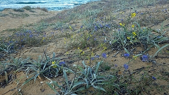 На 9 октомври Върховният административен  съд ВАС ще заседава по делото