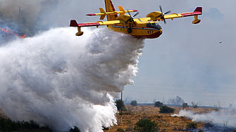 На 24 октомври петък от 08 30 ч WWF България организира