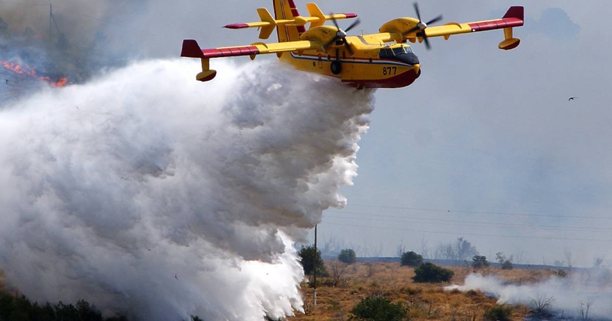 На 24 октомври (петък) от 08:30 ч. WWF България организира