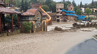 Епидемия и инфекции заплашват Елените ако не започне спешно почистване