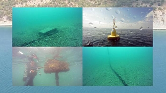 Европейската прокуратура в София разследва проект за мидена ферма в