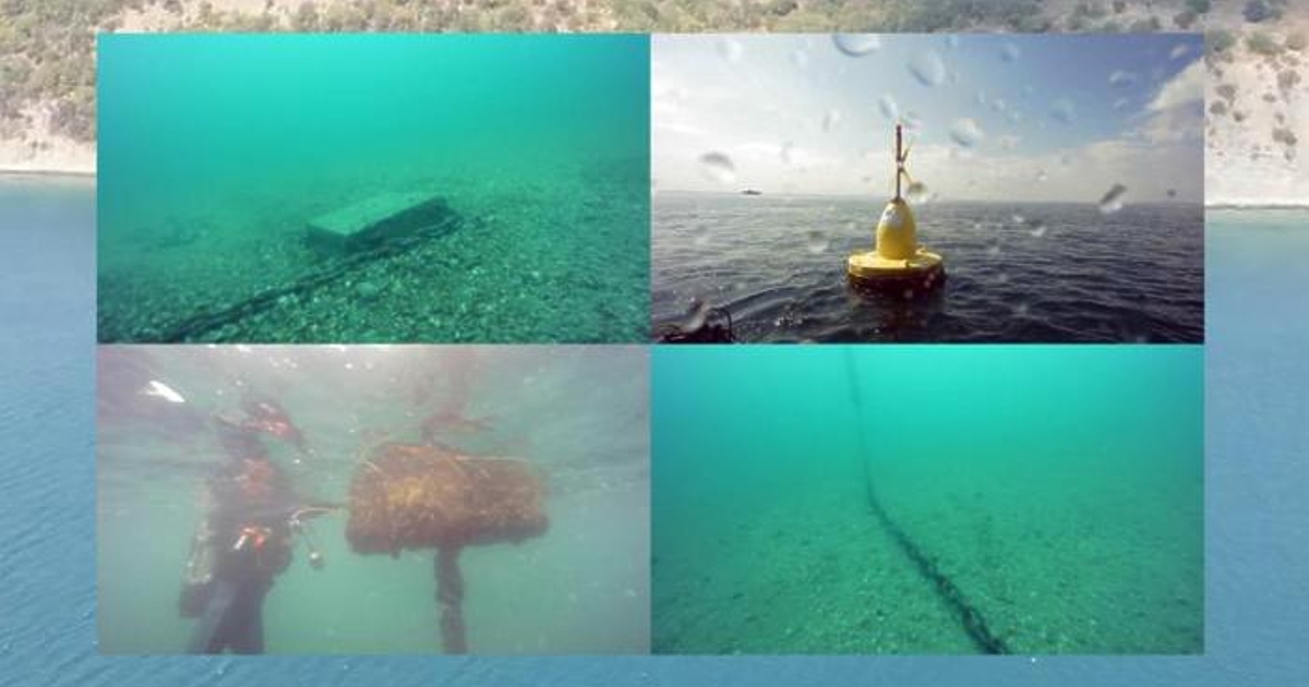 Европейската прокуратура в София разследва проект за мидена ферма в