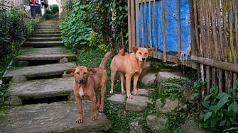 Протест под надслов Справедливост за Мая и с искане за