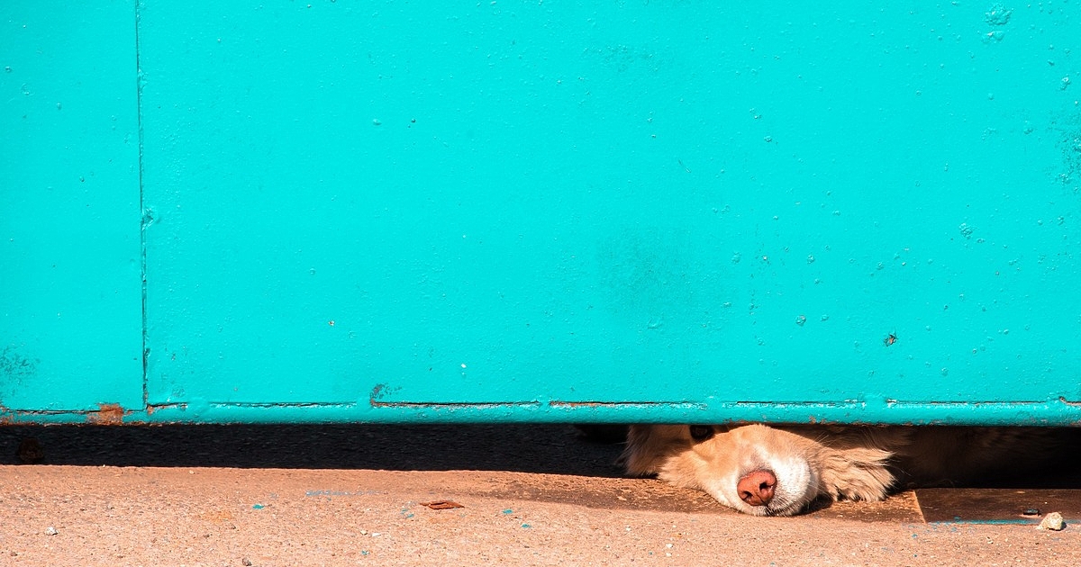 Прокурорско обвинение е повдигнато на 29-годишен гражданин на Северна Македония