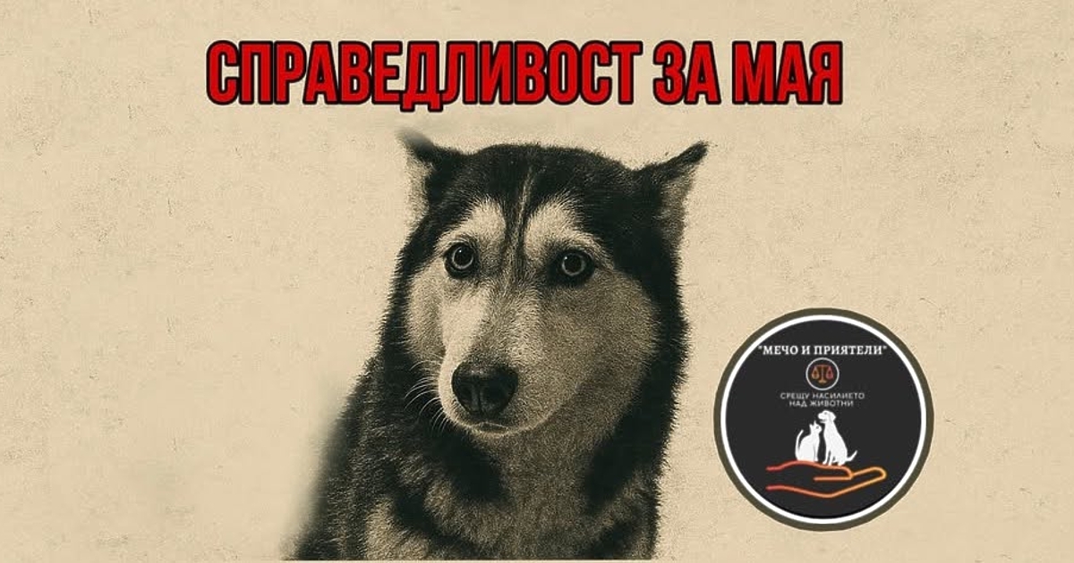 В социалните мрежи се разпространи видео, което трудно се гледа