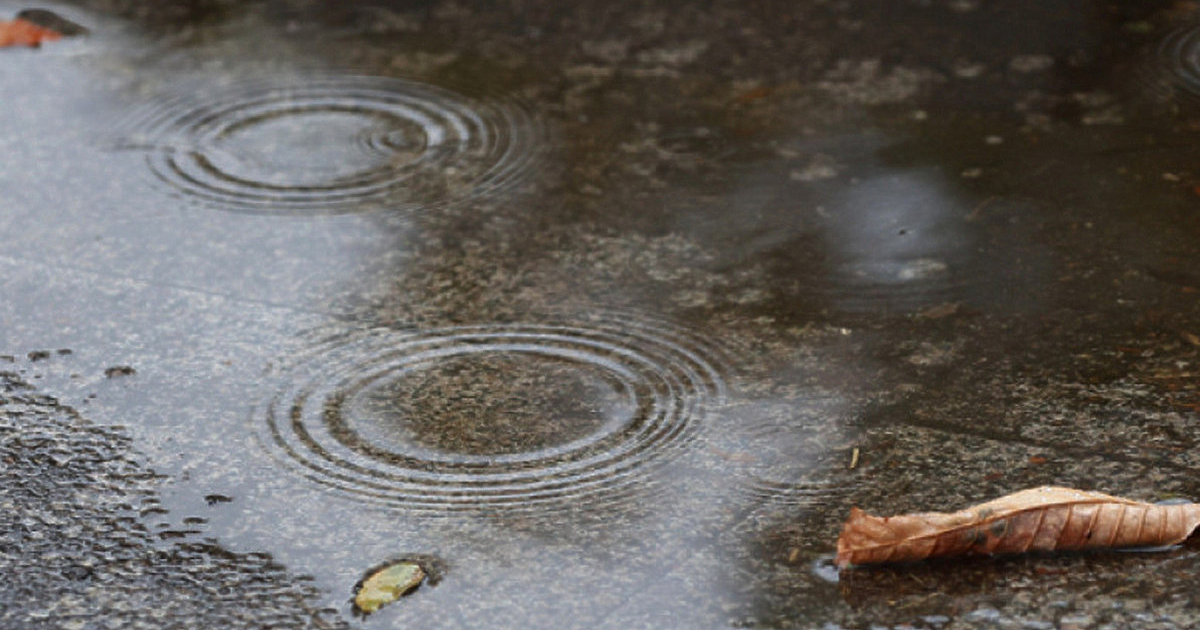 Днес преди обяд валежите временно ще спрат, сочи прогнозата на