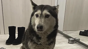 Македонецът лекар във ВМА е привлечен като обвиняем по чл 325Б