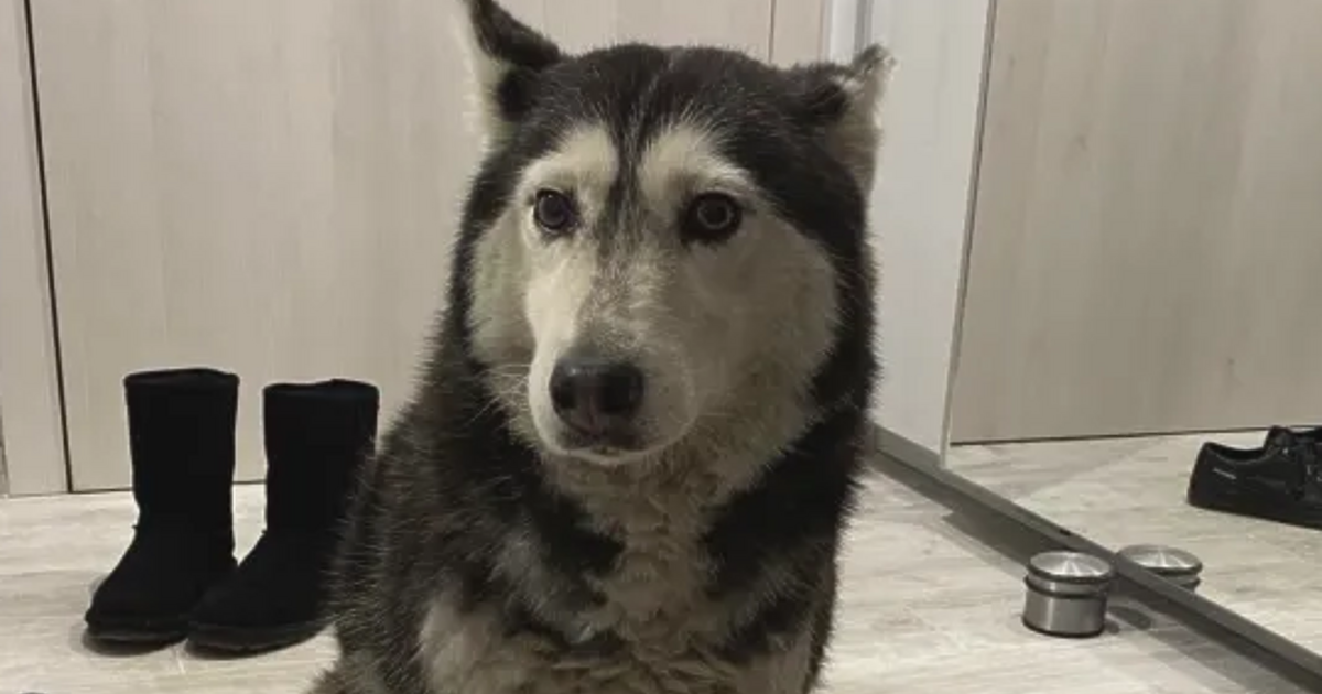 Македонецът лекар във ВМА е привлечен като обвиняем по чл. 325Б