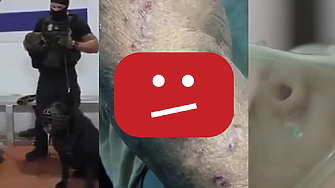 Три водещи палестински правозащитни организации — Al Haq Al Mezan Center