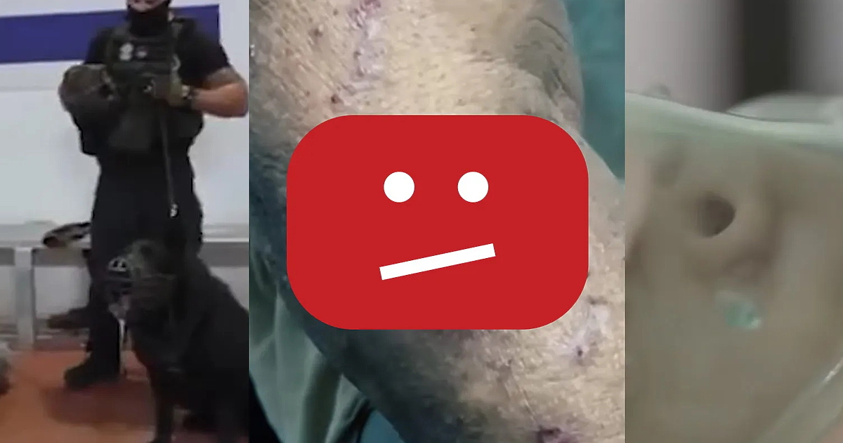 Три водещи палестински правозащитни организации — Al-Haq, Al Mezan Center