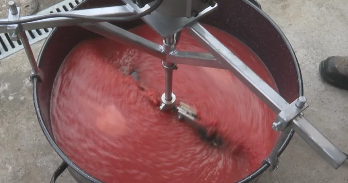 След като една от изконните български гордости е създаването на