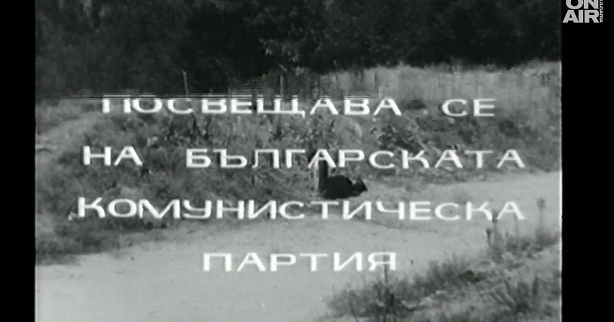 Зам.-председателят на Столичния общински съвет и съветник от Синя София