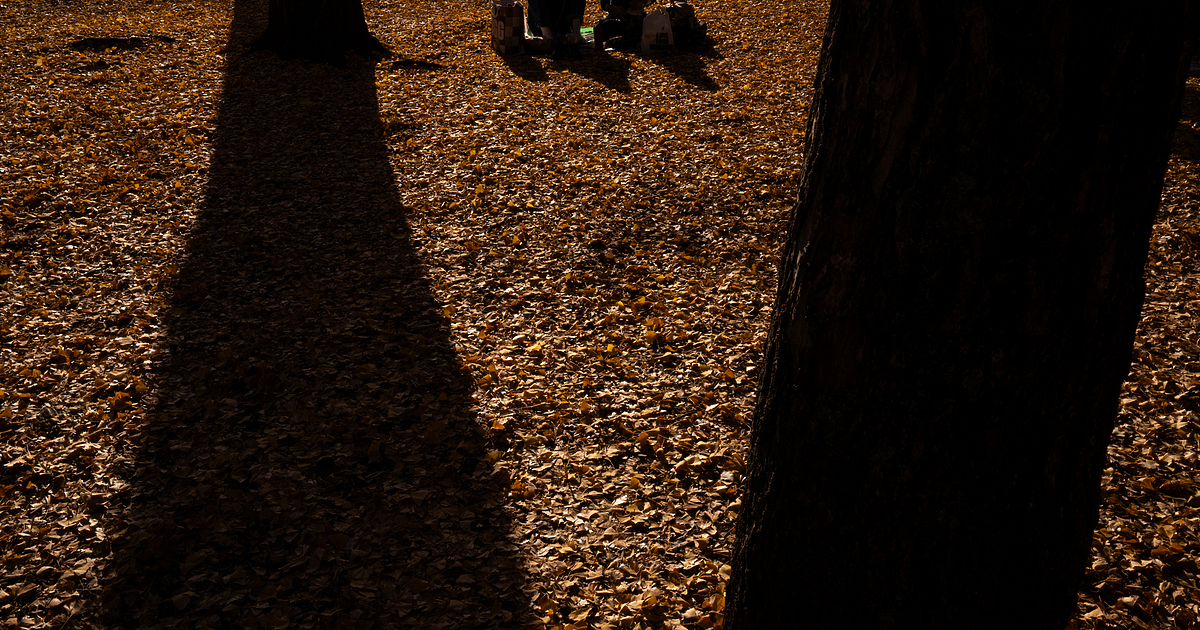 До обед в ниските части на страната, както и около