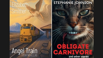 Две книги на известни новозеландски писателки бяха дисквалифицирани от участие