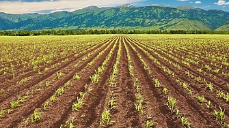 В рамките на разследване водено от Европейската прокуратура в София