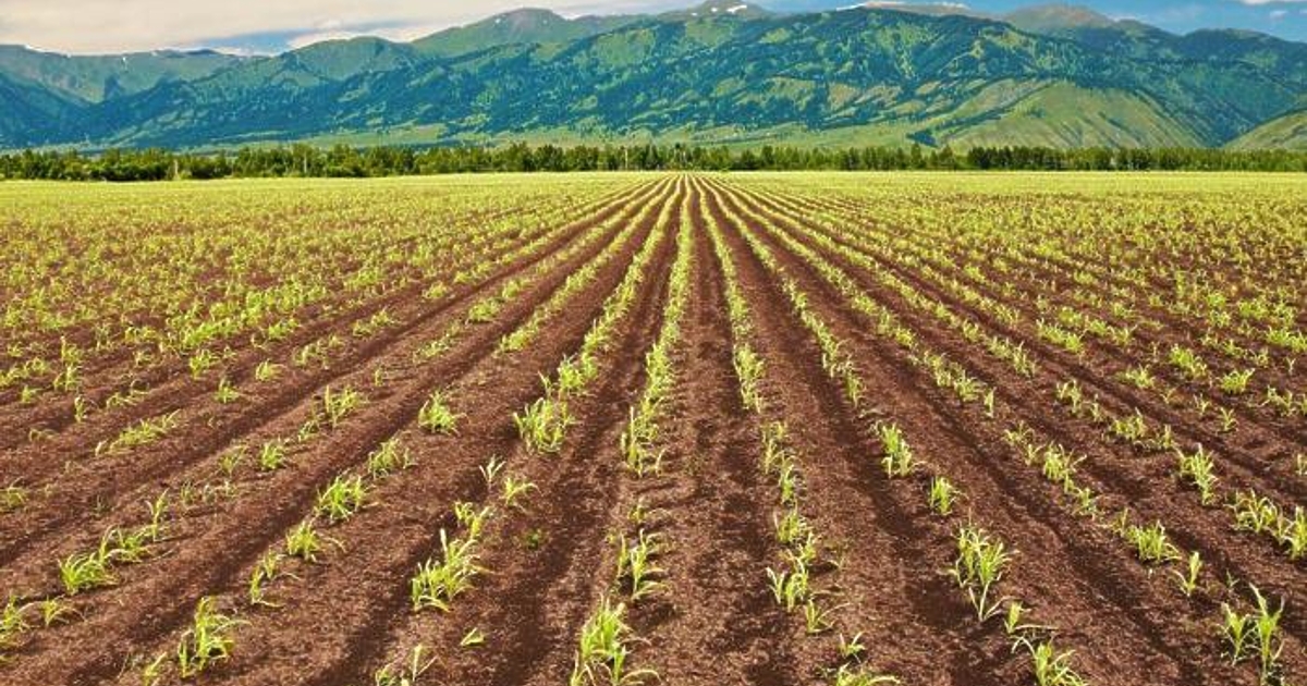 В рамките на разследване, водено от Европейската прокуратура в София,