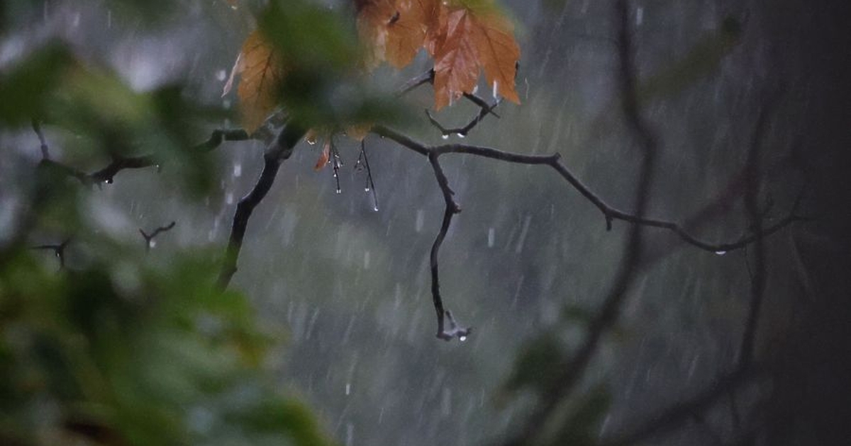 През нощта валежите навсякъде ще спрат, а облачността от запад