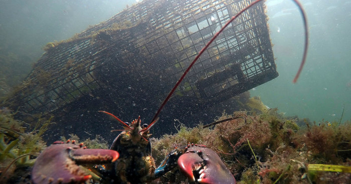 Страните членки (Съветът) на ЕС приеха мандата си за преговори