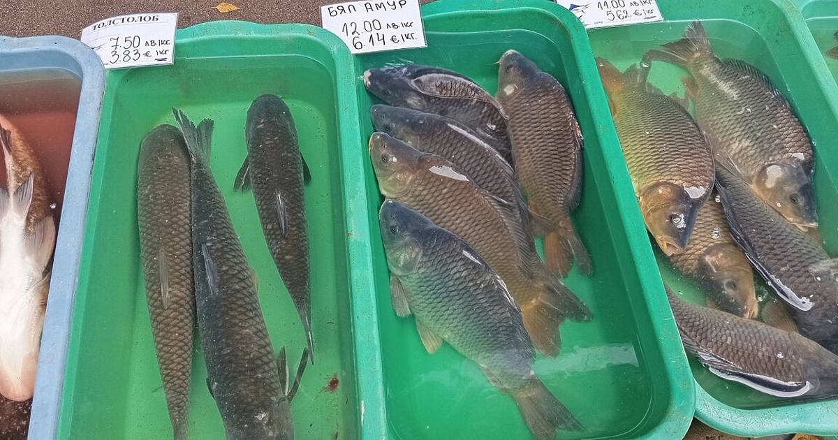 Между 30 и 50 лева ще излезе трапезата за Никулден.