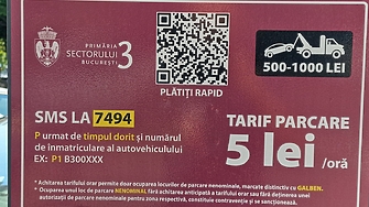 Нарастващ брой автомобили недостатъчно паркинги мъчително търсене на място за