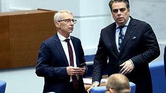 Политическата нестабилност се дължи на Бойко Борисов и Делян Пеевски