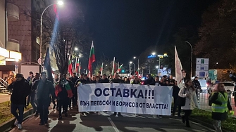 Безпрецедентните протести в страната доведоха до оставката на правителството  Желязков Това
