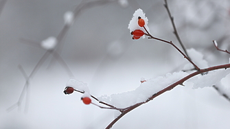 Астрономическата зима започва днес у нас в 17 03 ч