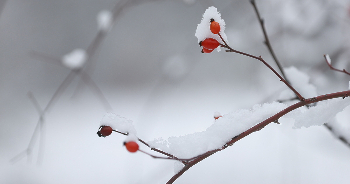Астрономическата зима започва днес у нас в 17:03 ч., в