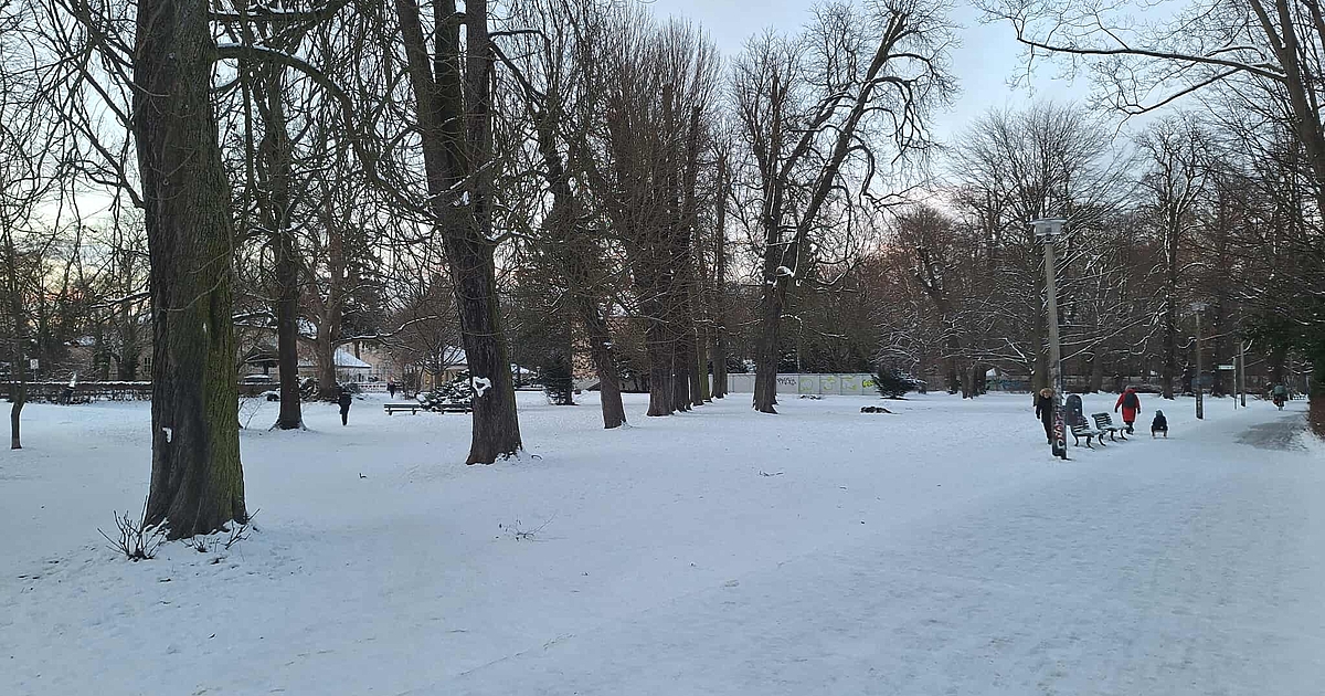 Днес токът в югозападната част на Берлин бе възстановен. Цели