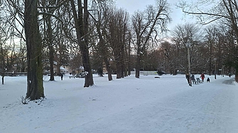 Арктически студ скова Германия Снежният хаос затвори училищата в няколко