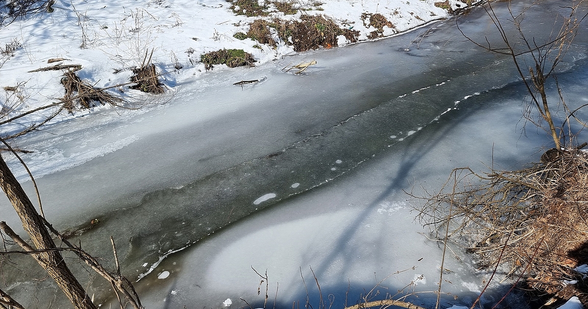 Предстои седмица на много студена вълна, направо ще е мразовито.Това