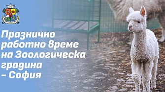 Столична община информира че достъпът на посетители до Зоологическа градина
