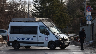 Жена е загинала вследствие на паднало дърво върху движеща се