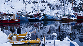 Студената сурова реалност пред която са изправени всякакви планове на