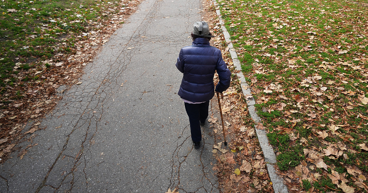 През 2024 г. броят на пенсионерите с инвалидност е 528