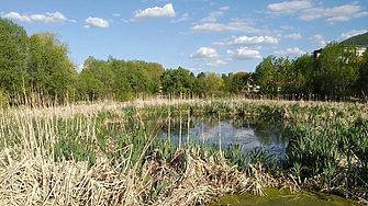 На 28 януари Столична община издаде заповед за незабавно спиране