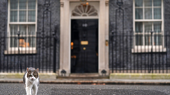 Няколко фотомонтажа се завъртяха в последните дни из социалните мрежи