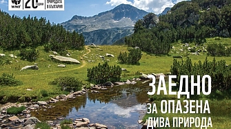 WWF − една от най-големите природозащитни организации у нас − навърши 20 години