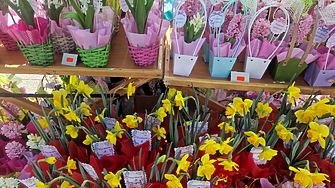 "Празнично" осмомартенско: откраднаха цветя за 1000 евро край Несебър