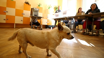 При оставка, затвор, смърт... ЦИК затяга правилата за смяната на членове на СИК