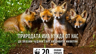 Природата има нужда от нас – юбилейна кампания на WWF ни призовава да я пазим 