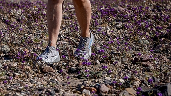 Приятно слънце днес, с температури до 18 градуса