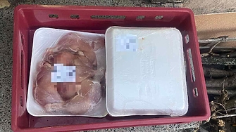 Над 260 т храни спря БАБХ за месец. Хванаха съмнително месо и за детските градини във Враца