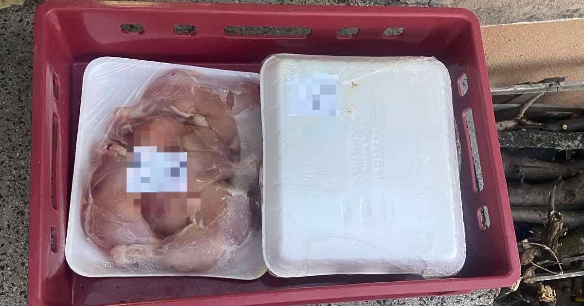 Повече от 262 тона храни с изтекъл срок на годност,